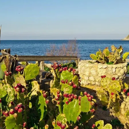 Casa de Férias Casetta Matotta, A - Palermo *