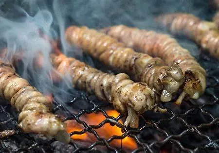 Casetta Matotta, A - Palermo 別荘 *