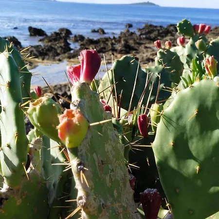 Casetta Matotta, A - Palermo *